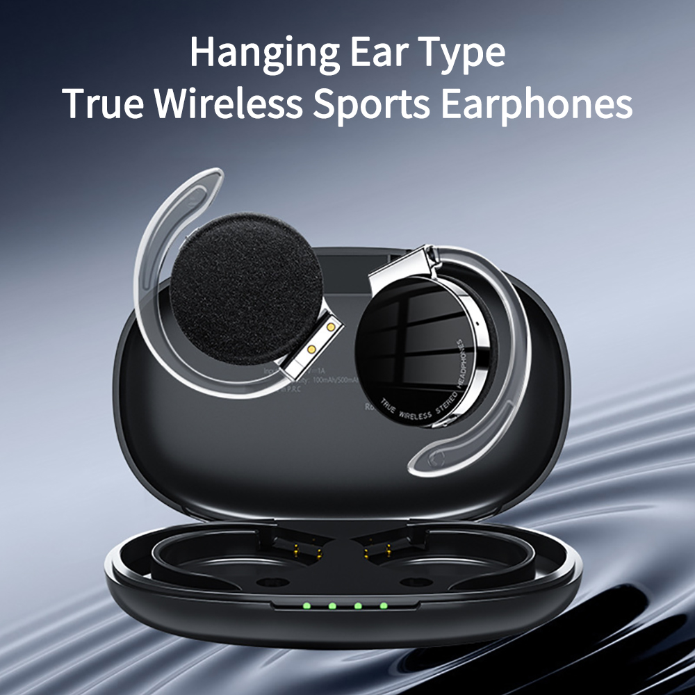 F2 TWS Kopfhörer mit Mikrofone – Sports Earphone Hook Bewertung und Preis